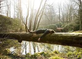 It all boils down to harmony---all of the compelling reasons for plant-based eating.