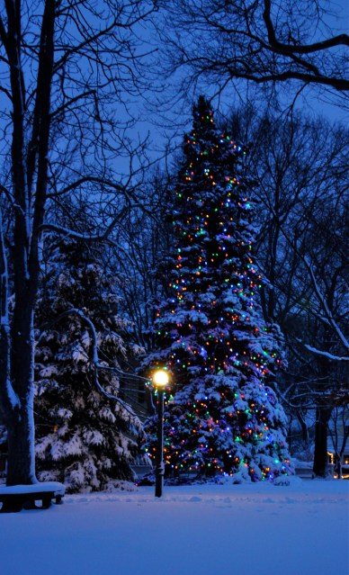 Merry Christmas from Stonington, CT