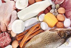 The typical western diet consisting of some form of meat, diary, eggs and/or fish three meals a day