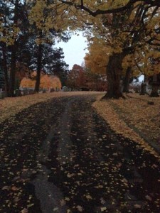 I snapped this photo two months ago in Woodlawn Cemetery.