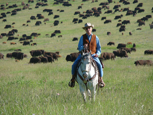 Ted Turner rides again