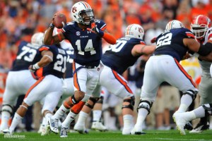 My son and I both went to Auburn. We watched our game on Saturday with my three grandsons. Auburn 45, Arkansas 21. War Eagle!