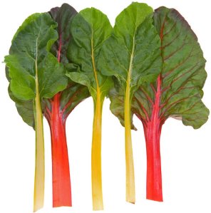 There were only two pictures in the article. What's the implied message in this picture?