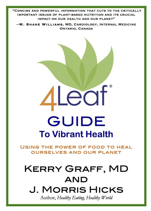 Now available worldwide on Amazon in paperback and Kindle.