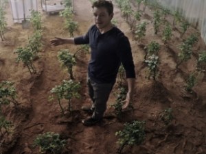 Here is Watney in his potato patch on Mars.