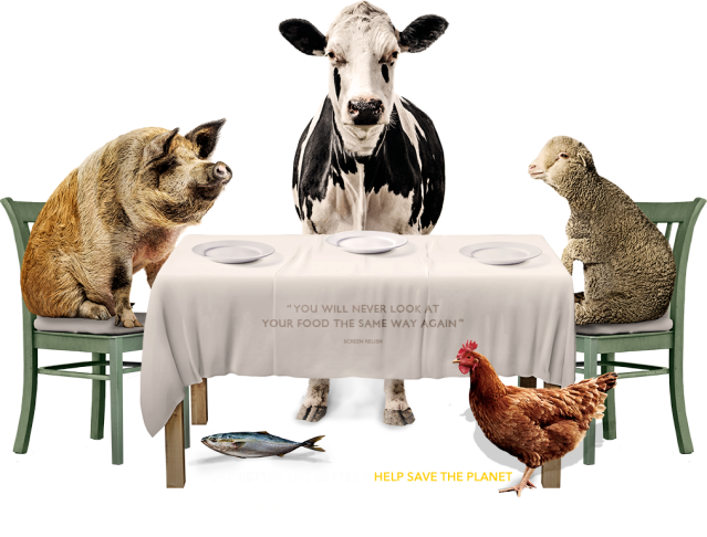 Food Choices Animals